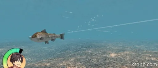 《Nice Day for Fishing》PS5&Switch版即将上线 《Nice Day for Fishing》PS5&Switch版即将上线